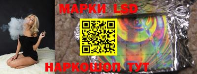 гидропоника Гатчина