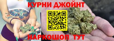 крисы Гай