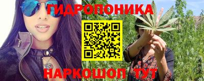 гидропоника Гатчина